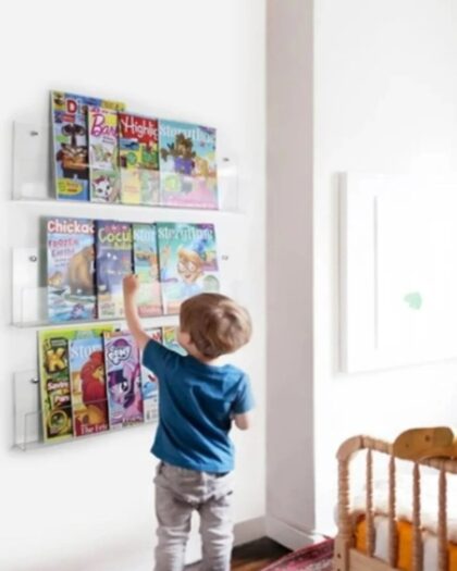 Plexi Single Wall Shelf Width 67 cm X 18 cm